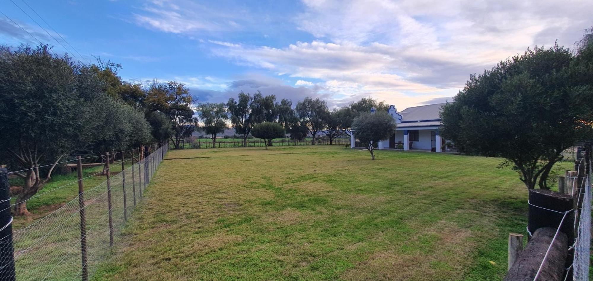 Villa Karoo Leeu Self Catering Oudtshoorn Exterior foto