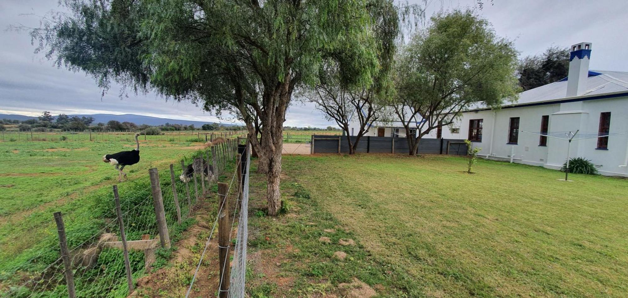 Villa Karoo Leeu Self Catering Oudtshoorn Exterior foto
