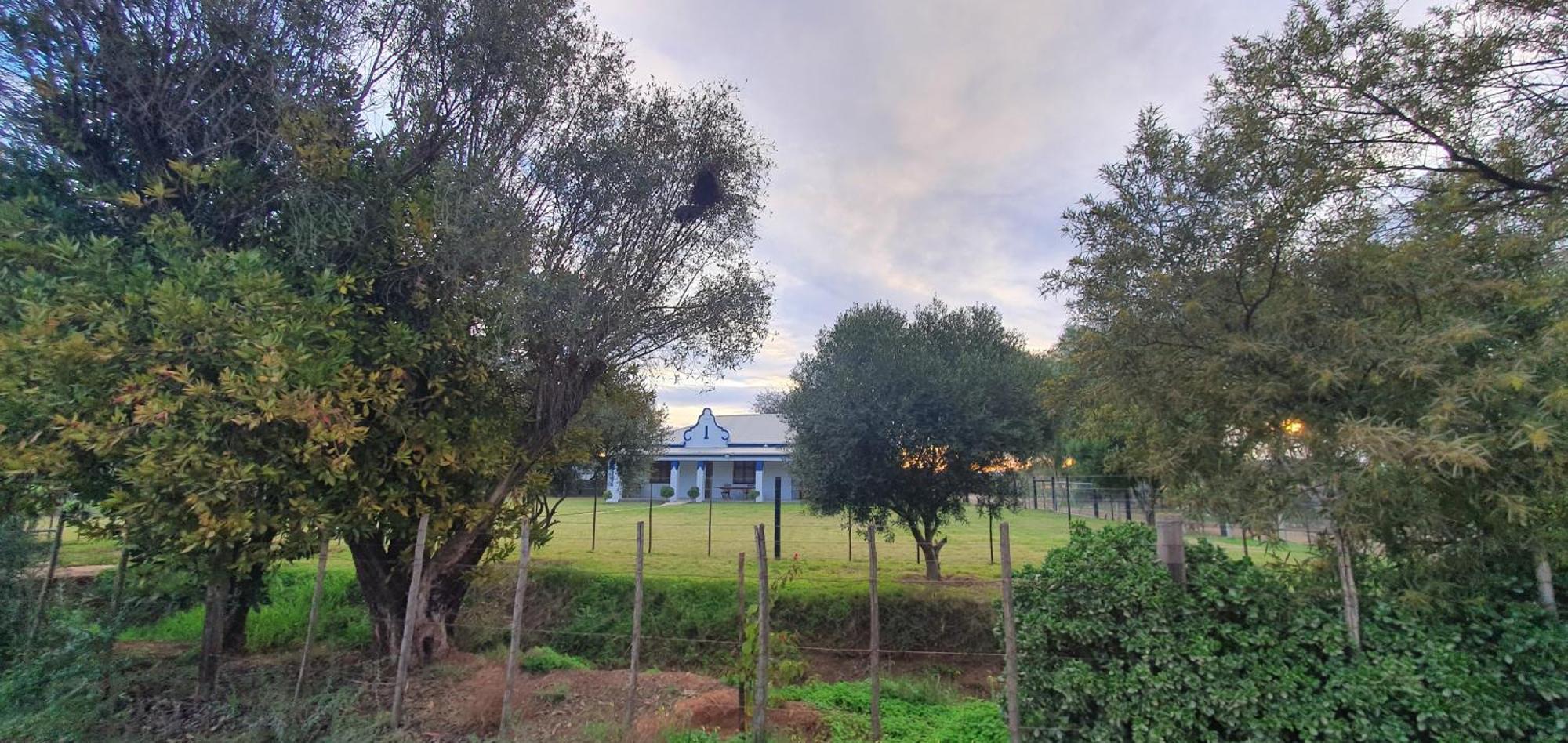 Villa Karoo Leeu Self Catering Oudtshoorn Exterior foto